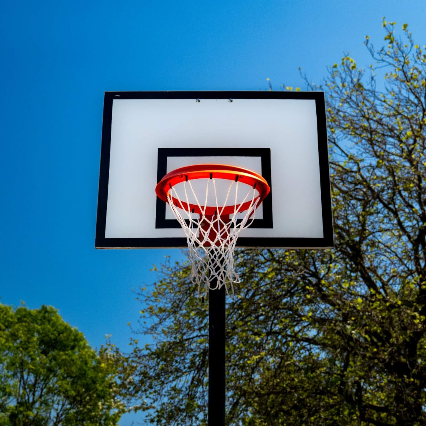 HoopTheHoop Portable Basketball Net